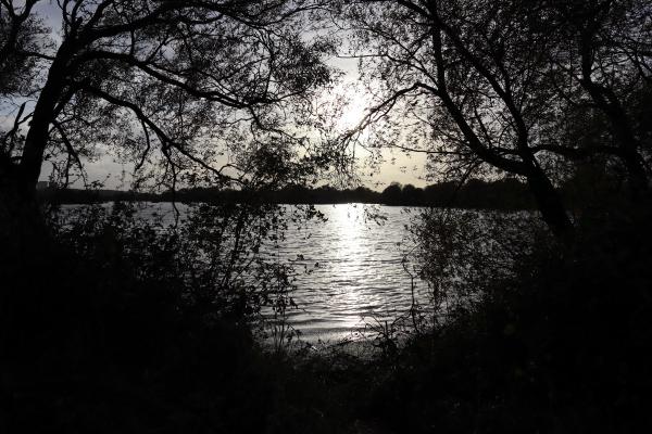 Silhouetted Sunset